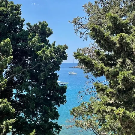 Apartment Belview - Beachfront *